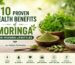 10-Proven-Health-Benefits-of-Moringa-for-Modern-Lifestyles